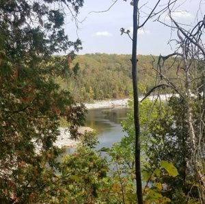 Meet your Posher, Joanne